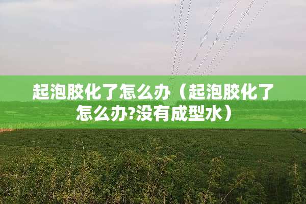 起泡胶化了怎么办（起泡胶化了怎么办?没有成型水）