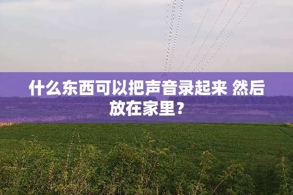 什么东西可以把声音录起来 然后放在家里？