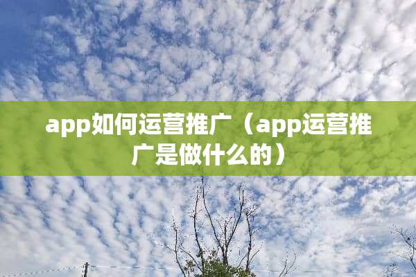 app如何运营推广（app运营推广是做什么的）