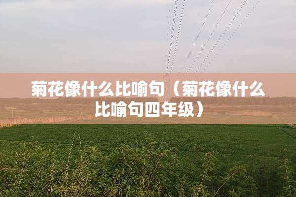 菊花像什么比喻句（菊花像什么比喻句四年级）