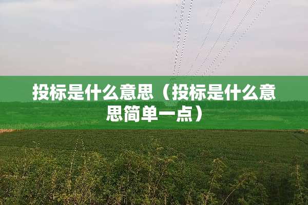 投标是什么意思（投标是什么意思简单一点）