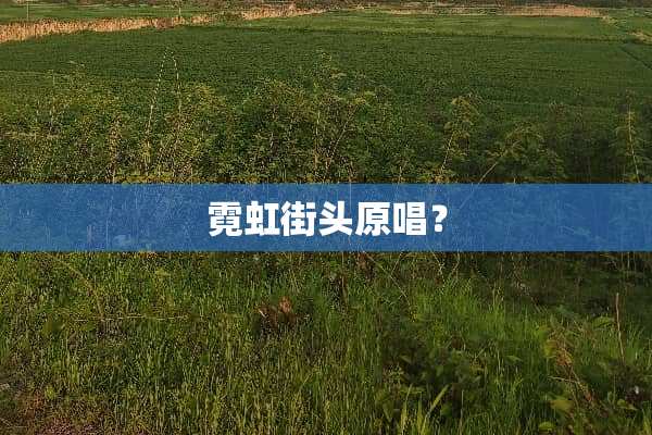 霓虹街头原唱？