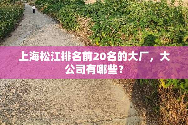 上海松江排名前20名的大厂，大公司有哪些？