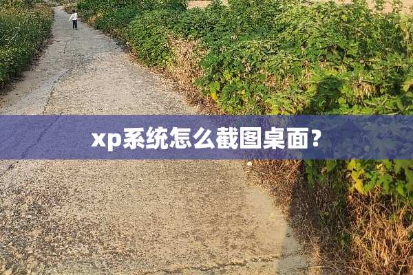xp系统怎么截图桌面？