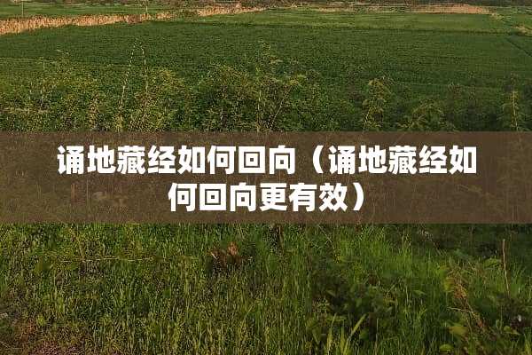 诵地藏经如何回向（诵地藏经如何回向更有效）
