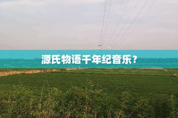 源氏物语千年纪音乐？