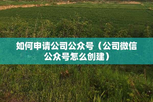 如何申请公司公众号（公司微信公众号怎么创建）