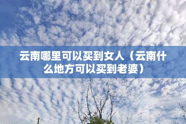 云南哪里可以买到女人（云南什么地方可以买到老婆）