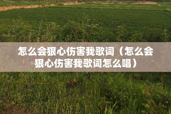 怎么会狠心伤害我歌词（怎么会狠心伤害我歌词怎么唱）