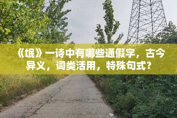 《氓》一诗中有哪些通假字，古今异义，词类活用，特殊句式？