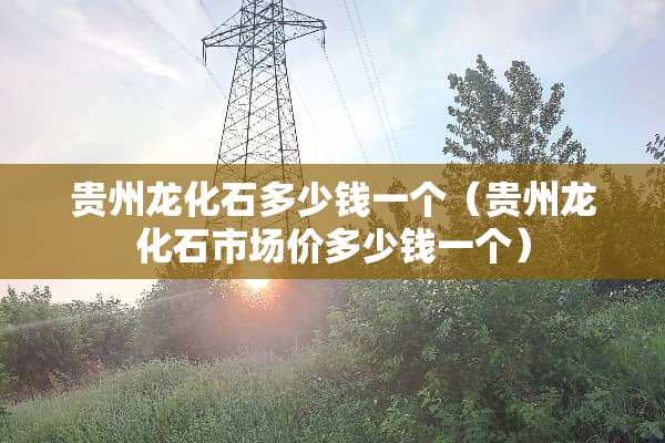 贵州龙化石多少钱一个（贵州龙化石市场价多少钱一个）