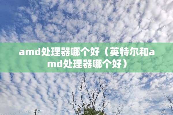 amd处理器哪个好（英特尔和amd处理器哪个好）