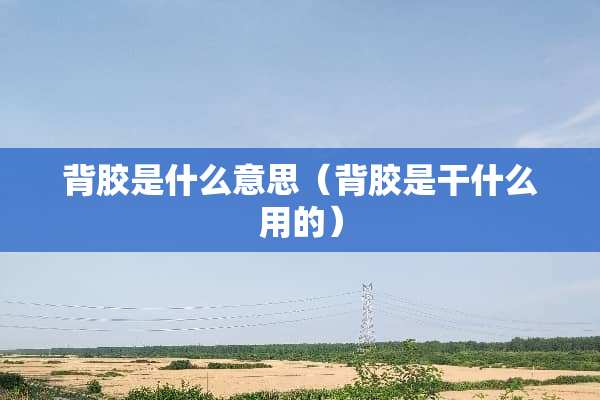 背胶是什么意思（背胶是干什么用的）