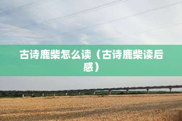 古诗鹿柴怎么读（古诗鹿柴读后感）
