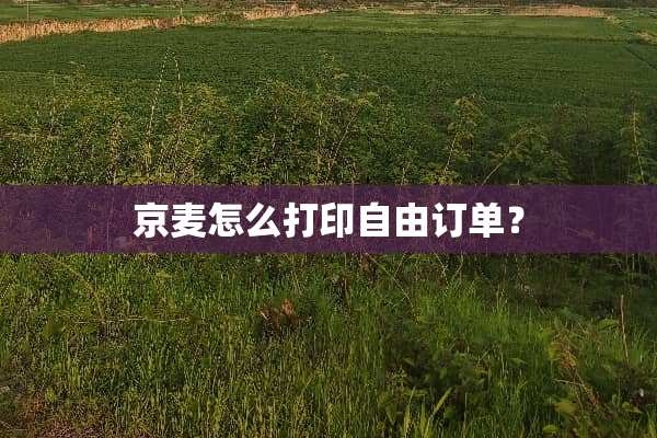 京麦怎么打印自由订单？