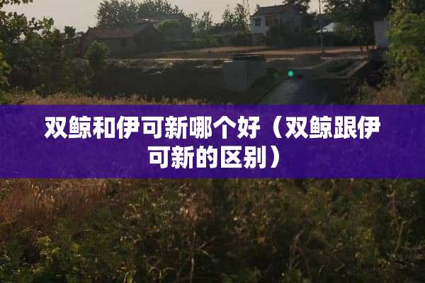 双鲸和伊可新哪个好（双鲸跟伊可新的区别）