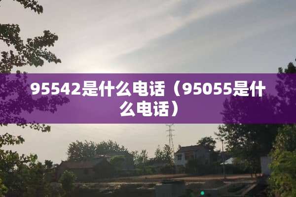 95542是什么电话（95055是什么电话）