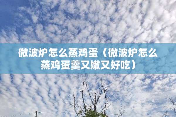 微波炉怎么蒸鸡蛋（微波炉怎么蒸鸡蛋羹又嫩又好吃）