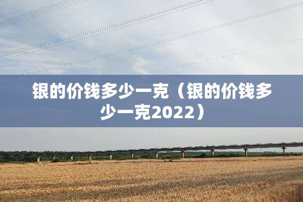 银的价钱多少一克（银的价钱多少一克2022）