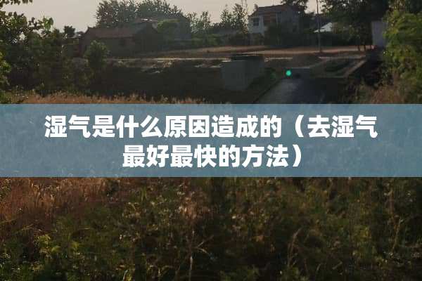 湿气是什么原因造成的（去湿气最好最快的方法）