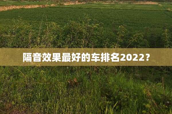 隔音效果最好的车排名2022？