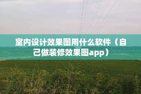 室内设计效果图用什么软件（自己做装修效果图app）