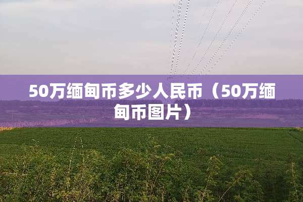 50万缅甸币多少人民币（50万缅甸币图片）