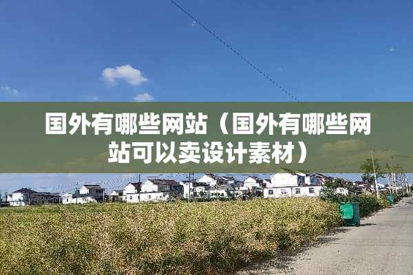 国外有哪些网站（国外有哪些网站可以卖设计素材）