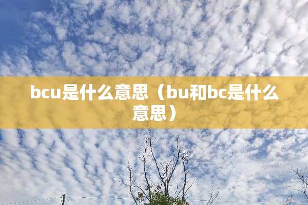 bcu是什么意思（bu和bc是什么意思）