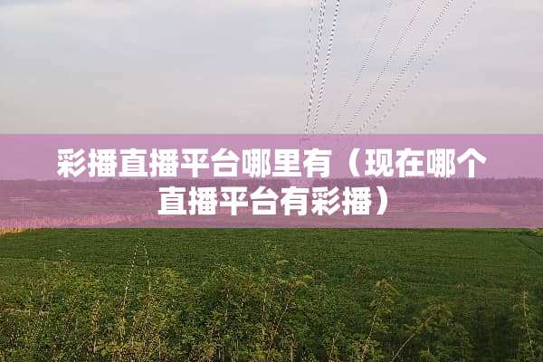 彩播直播平台哪里有（现在哪个直播平台有彩播）