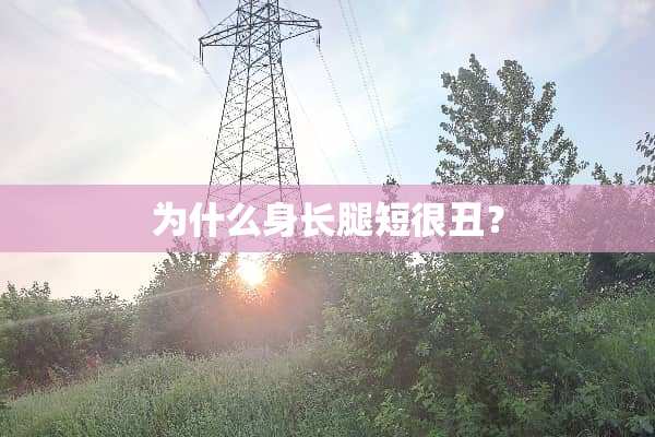 为什么身长腿短很丑？