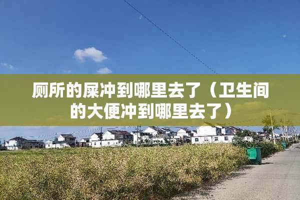 厕所的屎冲到哪里去了（卫生间的大便冲到哪里去了）
