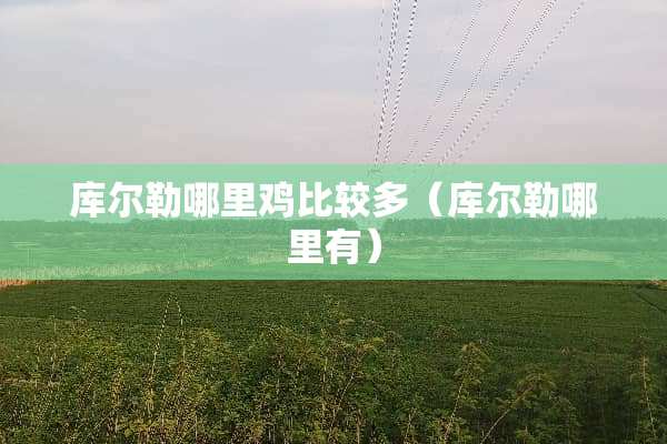 库尔勒哪里鸡比较多（库尔勒哪里有）