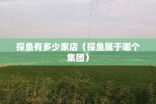 探鱼有多少家店（探鱼属于哪个集团）