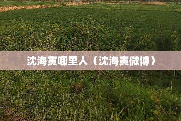沈海寅哪里人（沈海寅微博）