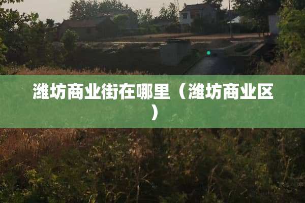 潍坊商业街在哪里（潍坊商业区）