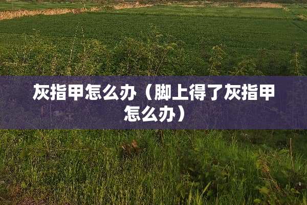 灰指甲怎么办（脚上得了灰指甲怎么办）