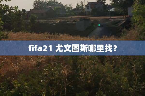 fifa21 尤文图斯***？