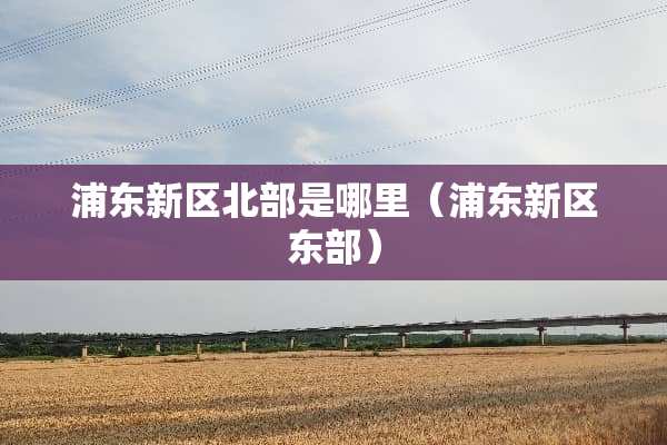 浦东新区北部是哪里（浦东新区东部）