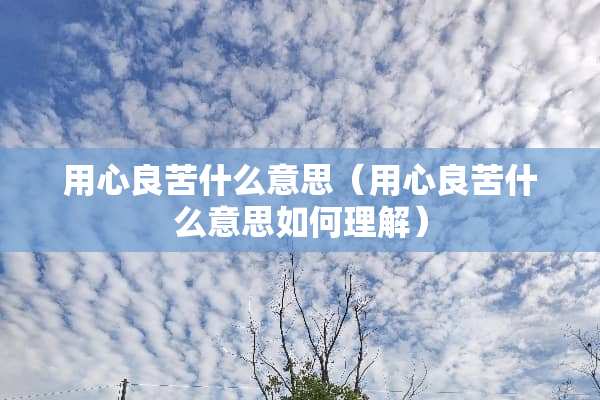 用心良苦什么意思（用心良苦什么意思如何理解）