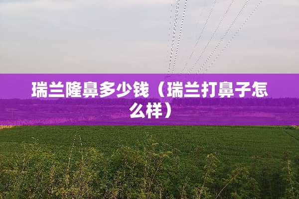 瑞兰隆鼻多少钱（瑞兰打鼻子怎么样）