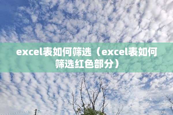 excel表如何筛选（excel表如何筛选红色部分）