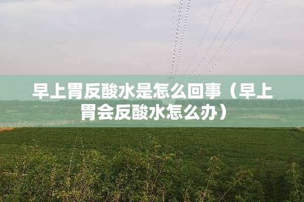 早上胃反酸水是怎么回事（早上胃会反酸水怎么办）
