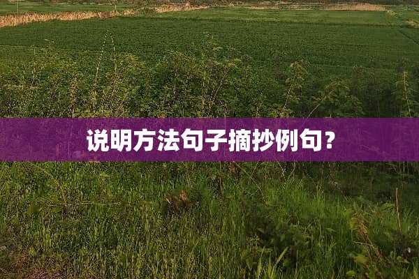 说明方法句子摘抄例句？