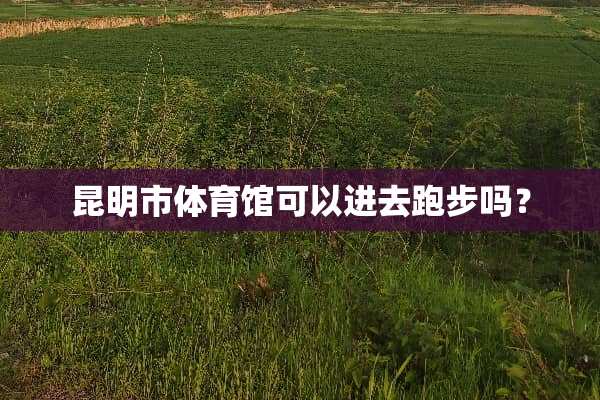 昆明市体育馆可以进去跑步吗？