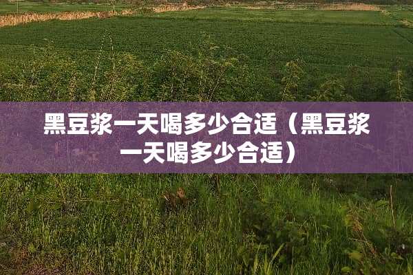 黑豆浆一天喝多少合适（黑豆浆一天喝多少合适）