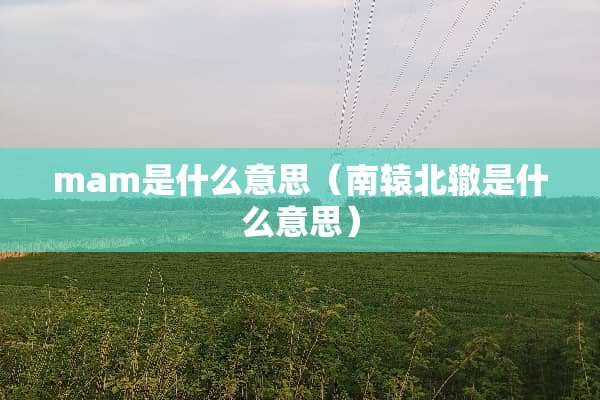 mam是什么意思（南辕北辙是什么意思）