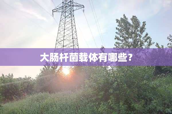 大肠杆菌载体有哪些？