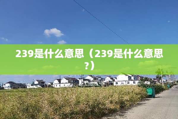 239是什么意思（239是什么意思?）