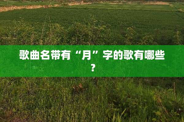 歌曲名带有“月”字的歌有哪些？
